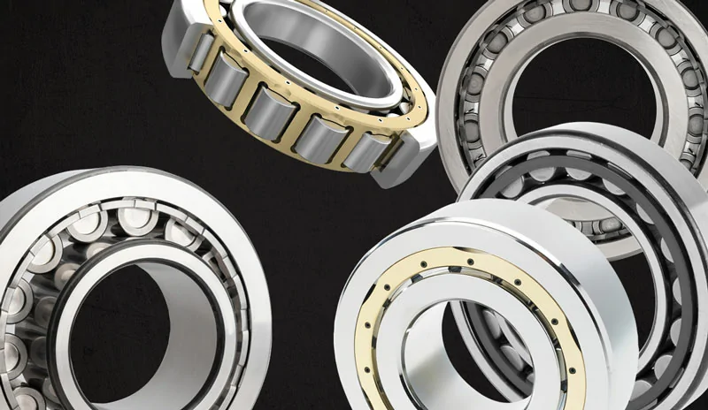 Risan Mech Supplies Limited